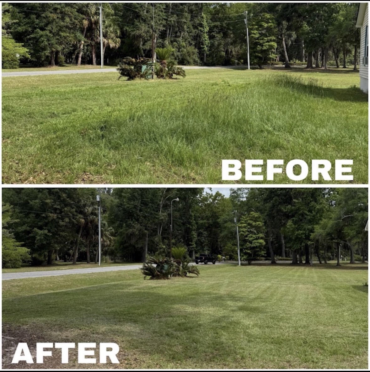 Tall front lawn mowed to a clean finish