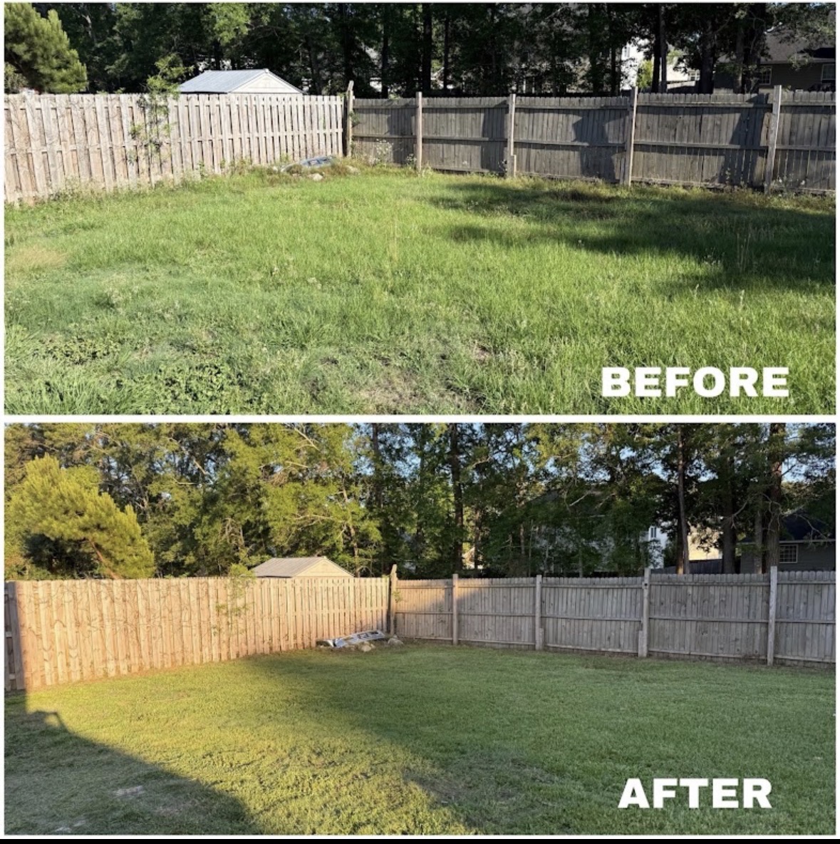 Fenced backyard mowed and detailed