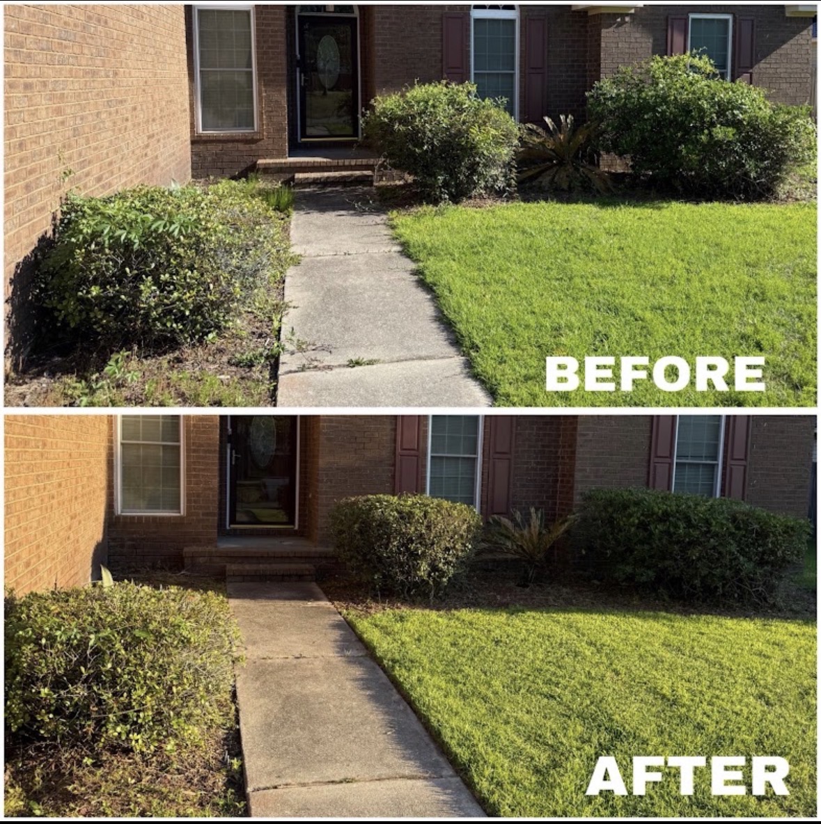 Shrubs trimmed along the walkway