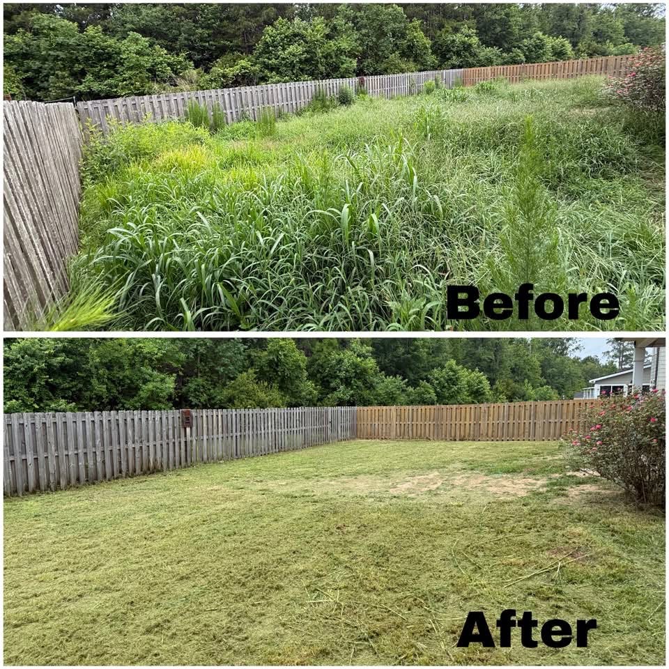 Overgrown backyard mowed and cleaned up