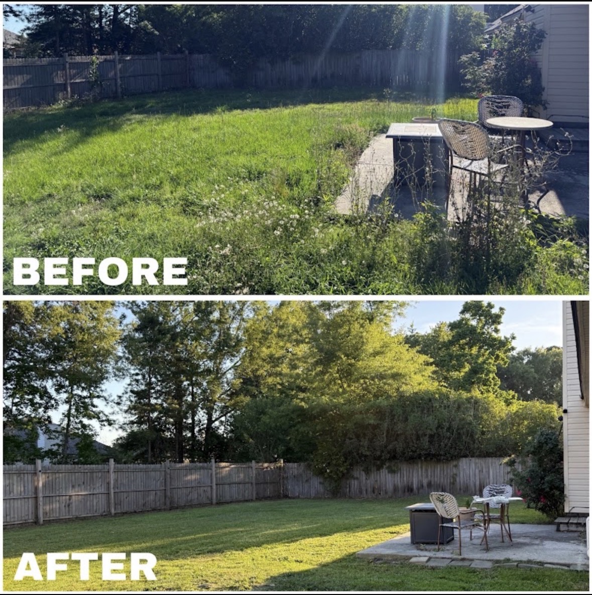 Backyard cleanup before and after